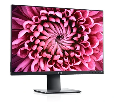 Monitorius Dell P2421 24 