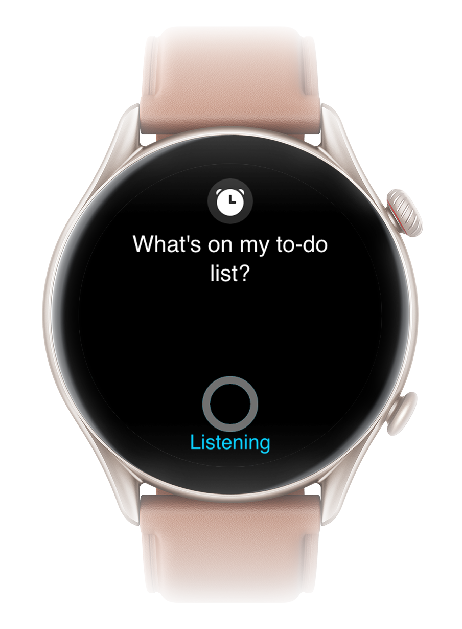 Išmanusis laikrodis Amazfit GTR 3 Pro, Juodos spalvos aprašymas - Prekės nuotrauka