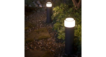 Philips Hue Calla Lauko šviestuvas (Baltas ir spalvotas) aprašymas - Prekės nuotrauka