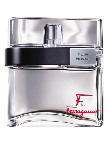 Kvepalai vyrams Salvatore Ferragamo F EDT 100ml aprašymas - Prekės nuotrauka