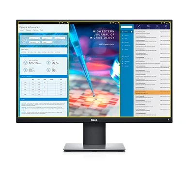 Monitorius Dell P2421 24 