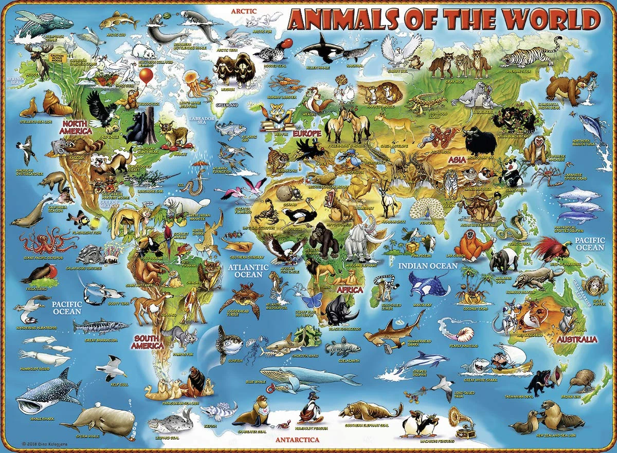 RAVENSBURGER dėlionė Gyvūnai visame pasaulyje, 300d., 13257 aprašymas - Prekės nuotrauka
