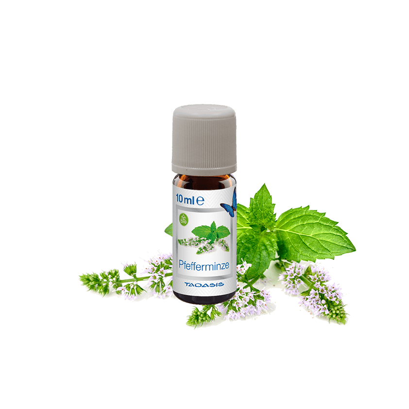 Venta eterinių aliejų rinkinys, 3x10 ml. 6044200 aprašymas - Prekės nuotrauka