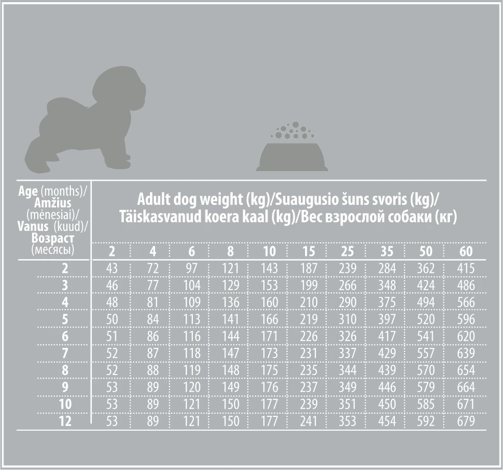 Nature's Protection Superior Care Baltas Dogs begrūdis su lašiša Starter All Breeds 1,5kg, visų veislių junkomų baltakailių šuniukų sausas begrūdis pašaras su lašiša aprašymas - Prekės nuotrauka