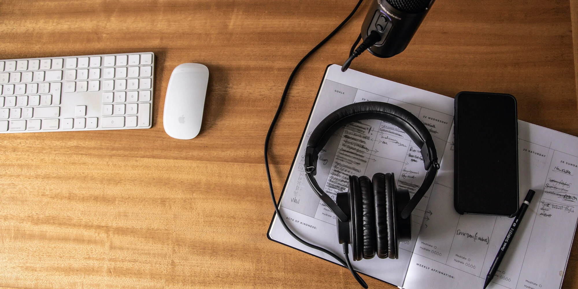 Audio-Technica ATH-M20X profesionalios monitorinės ausinės, Juodos spalvos aprašymas - Prekės nuotrauka