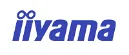 Iiyama Vaizdo įrangos priedai