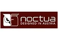 Noctua 