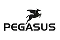 Pegasus Stalo žaidimai