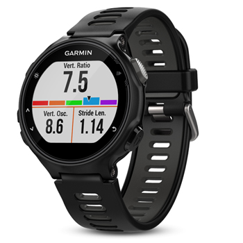 garmin forerunner 245 kaina