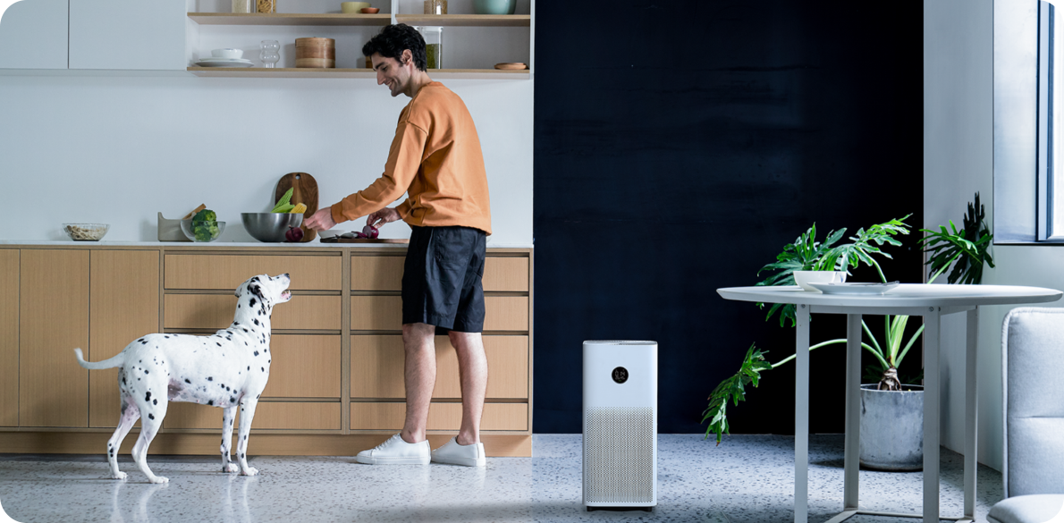 Oro valytuvas Xiaomi Smart Air Purifier 4 EU aprašymas - Prekės nuotrauka