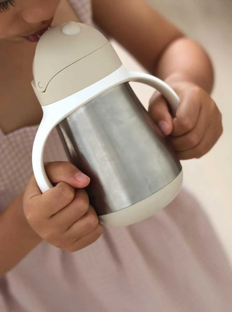 BEABA METALINĖ GERTUVĖ SU ŠIAUDELIU, 250 ML, CLAY