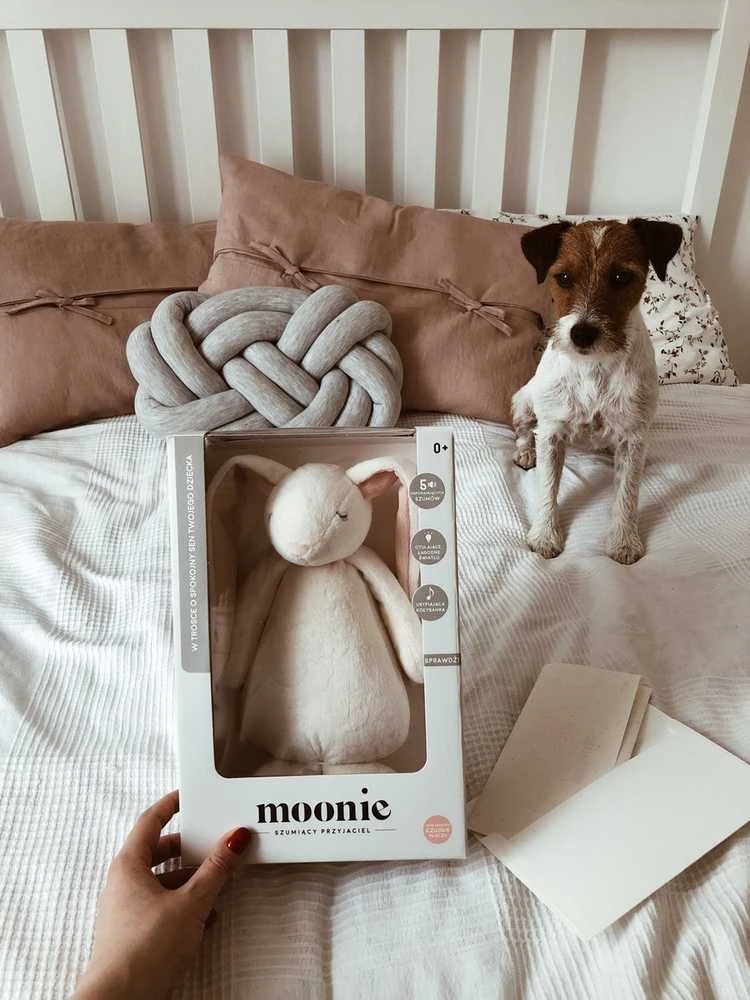Moonie 2.0 migdukas Humming Bunny - Powder su garso įrašymo funkcija