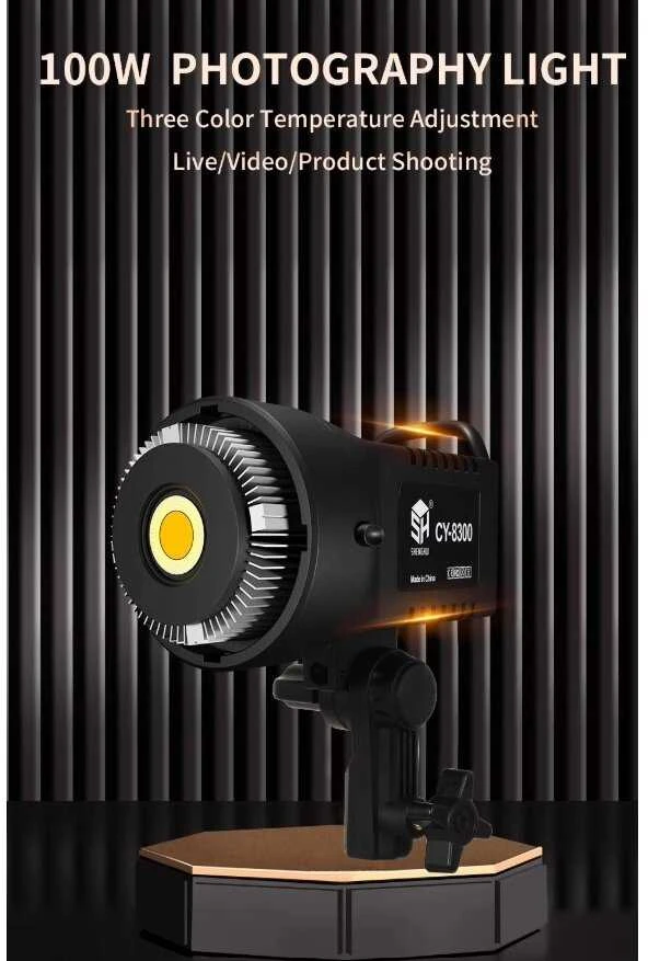 100 W fotografijos LED šviesos