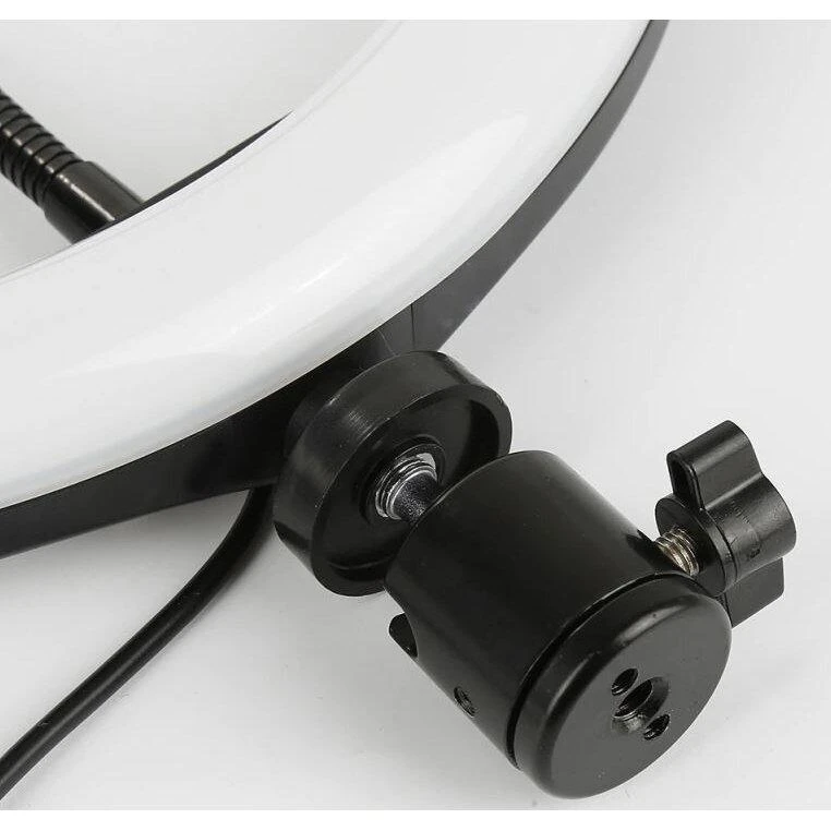 žiedinė 30 cm LED lempa