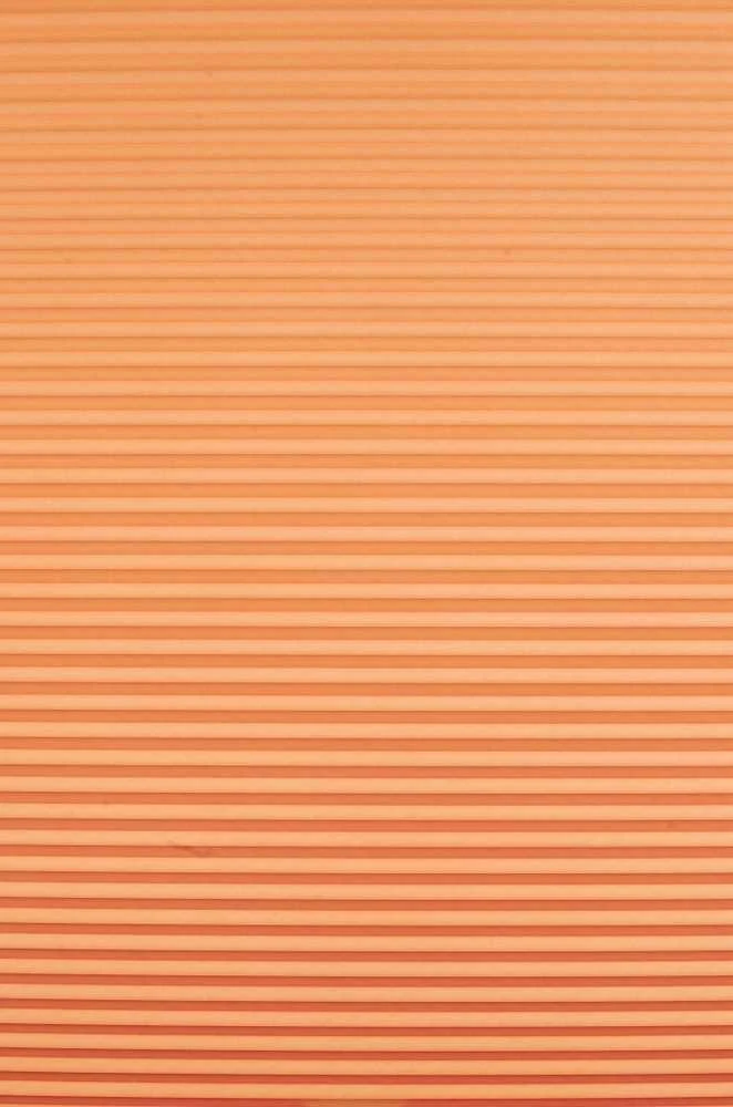 Plisuotos žaliuzės PLI 0102 95cm x 155cm