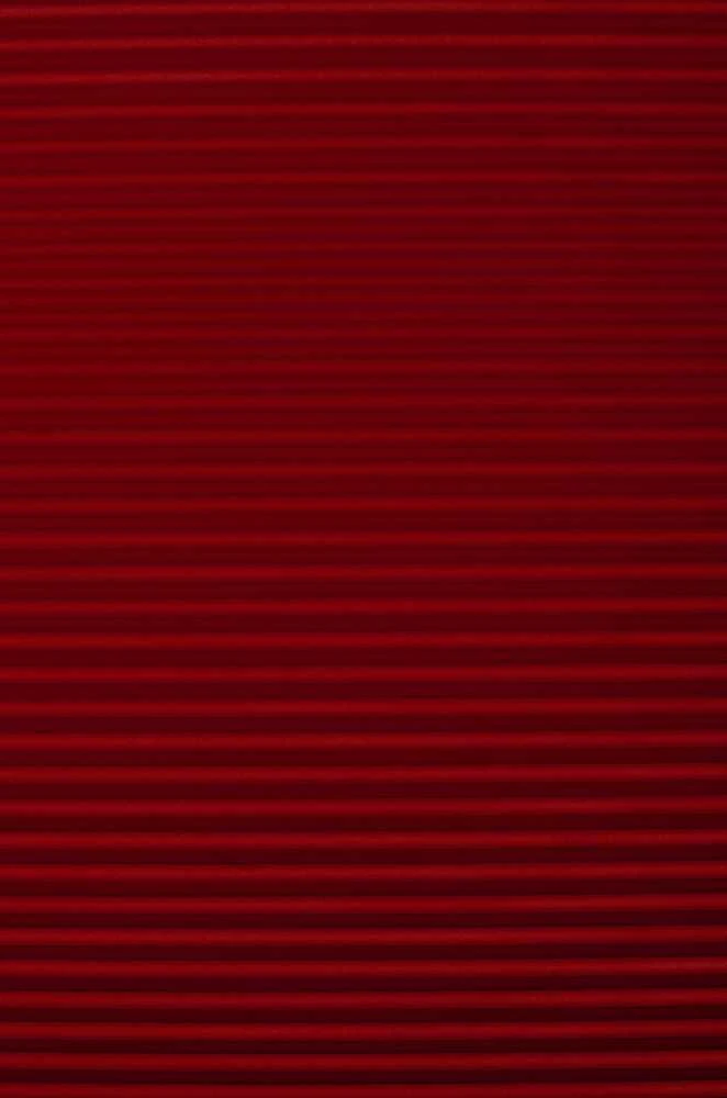 Plisuotos žaliuzės PLI 1013 75cm x 200cm