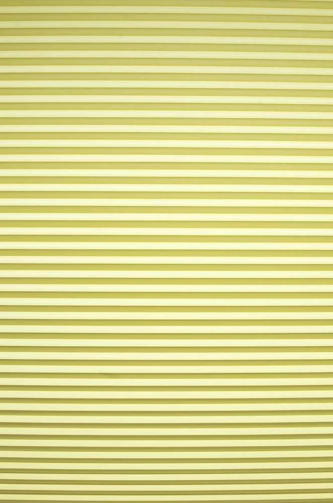 Plisuotos žaliuzės PLI 2409 65cm x 145cm