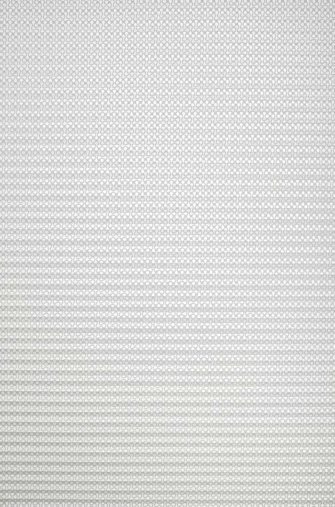 Plisuotos žaliuzės PLI 2716 95cm x 155cm