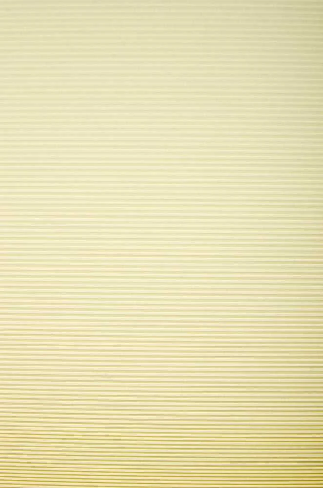 Plisuotos žaliuzės PLI 5004 75cm x 155cm