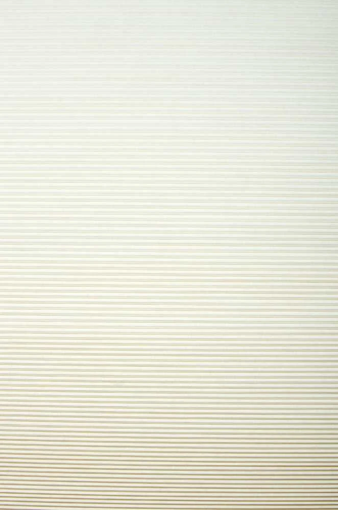 Plisuotos žaliuzės PLI 5005 95cm x 200cm
