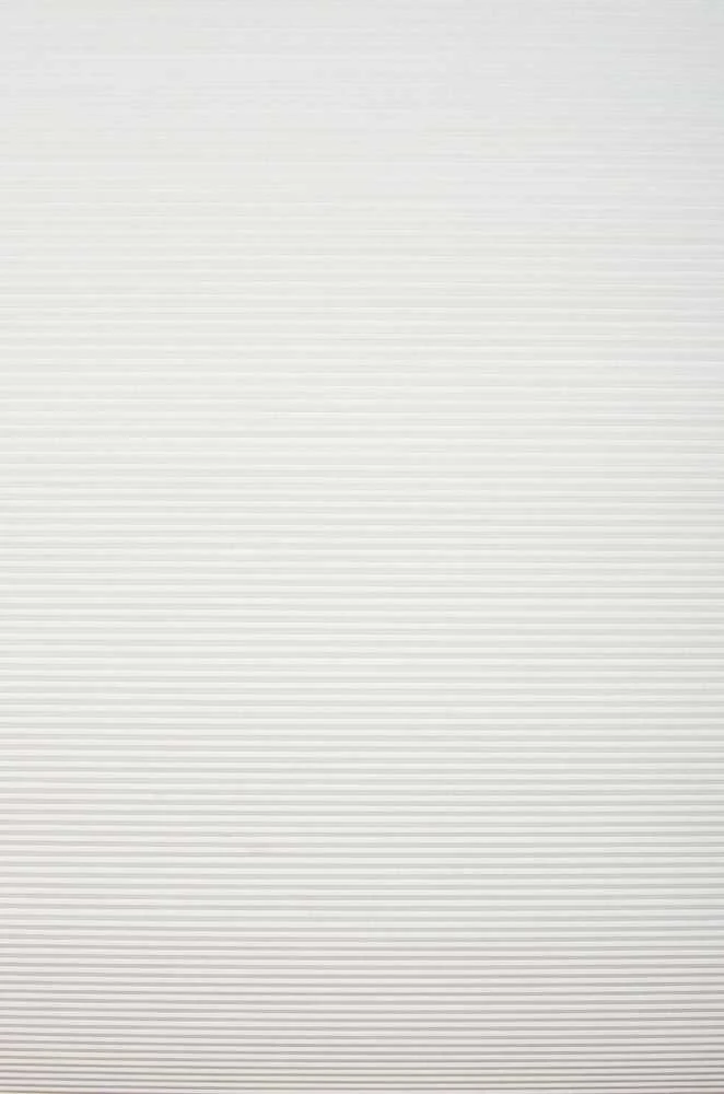 Plisuotos žaliuzės PLI 5006 75cm x 155cm