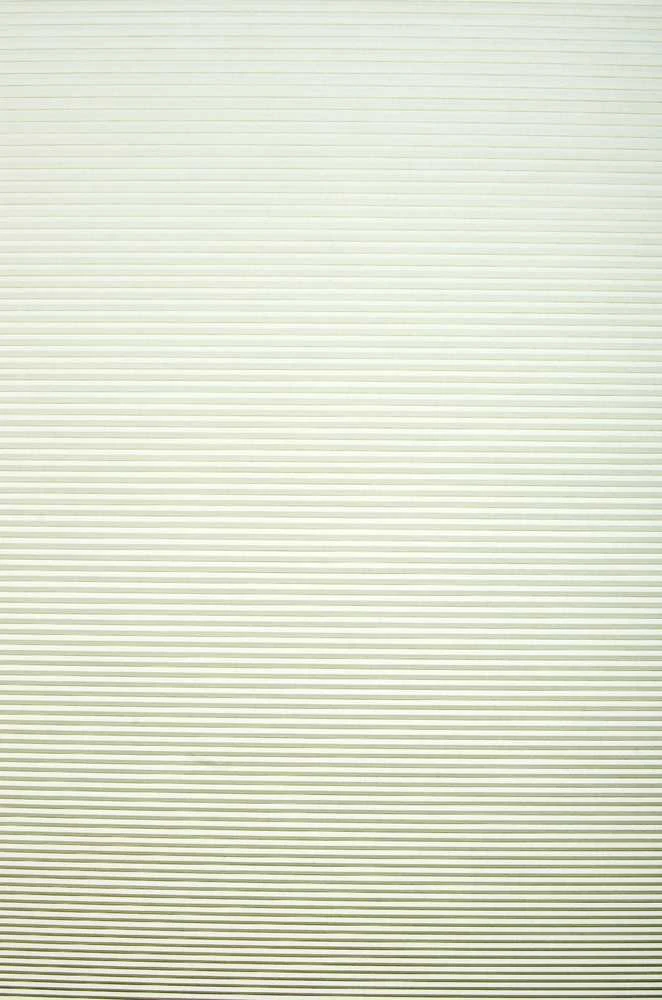 Plisuotos žaliuzės PLI 6002 65cm x 145cm