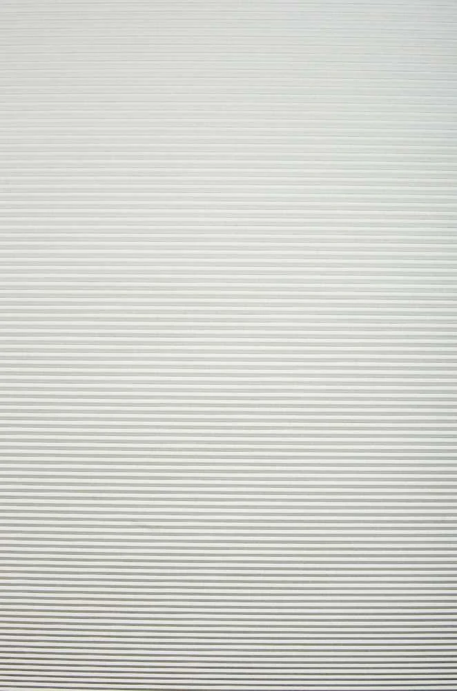 Plisuotos žaliuzės PLI 6003 95cm x 155cm