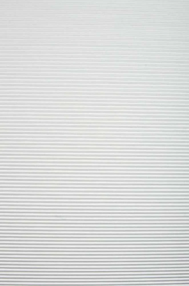 Plisuotos žaliuzės PLI 6006 45cm x 145cm