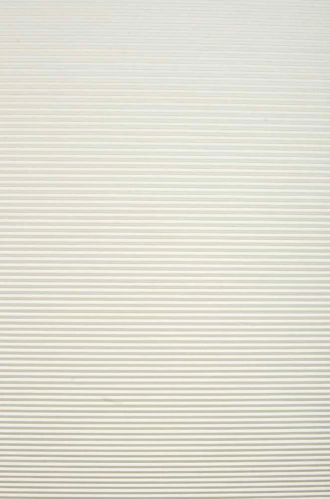 Plisuotos žaliuzės PLI 6009 95cm x 155cm