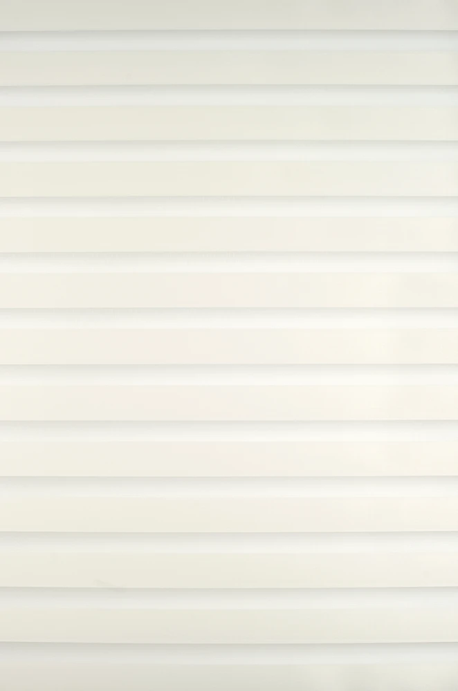 Roletai diena-naktis BH-1102 65cm x 160cm