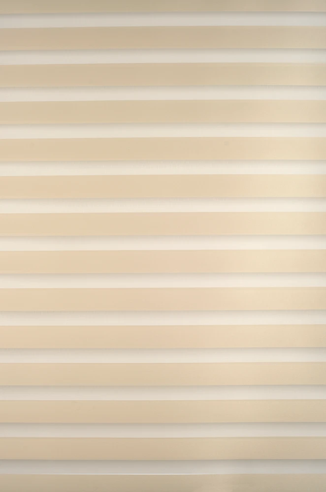 Roletai diena-naktis BH-1103 90cm x 160cm