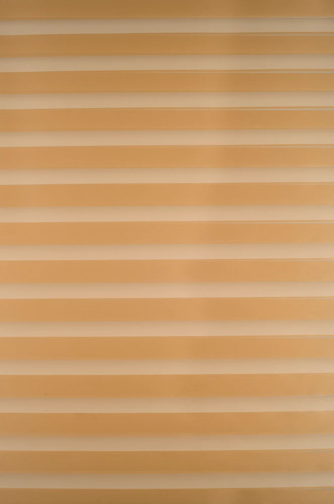 Roletai diena-naktis BH-1104 90cm x 160cm