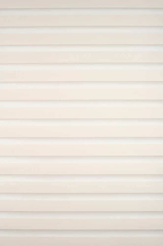 Roletai diena-naktis BH-1302 65cm x 160cm
