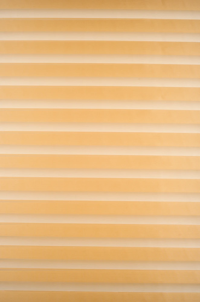Roletai diena-naktis BH-1304 65cm x 160cm