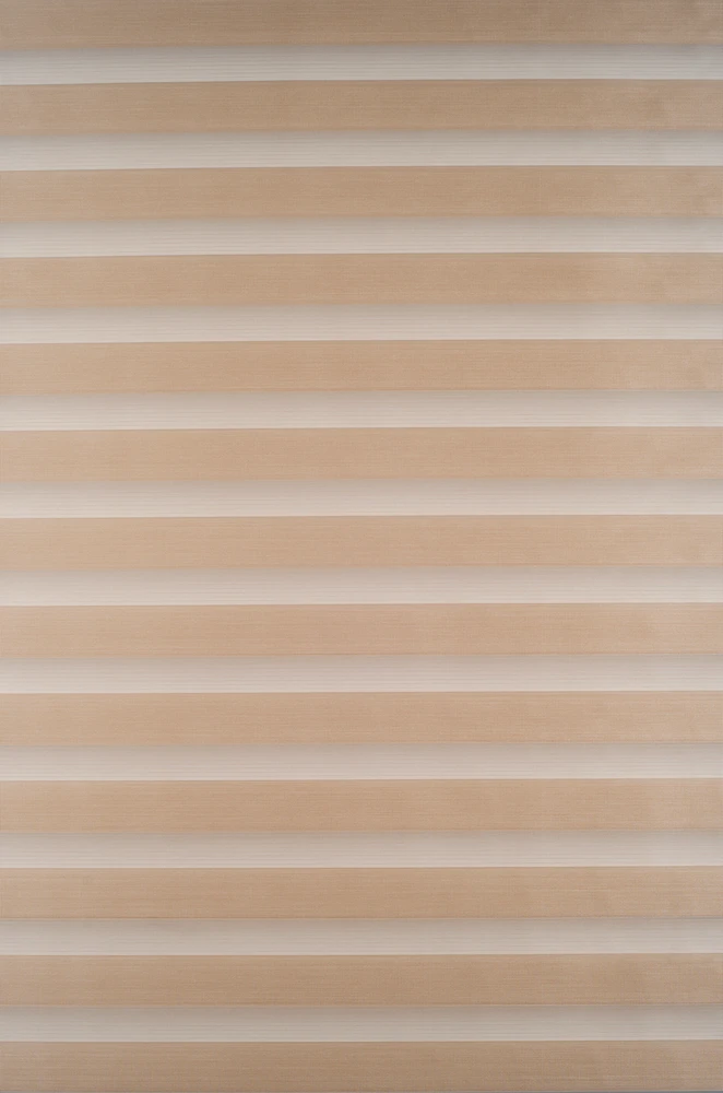 Roletai diena-naktis BH-1305 65cm x 160cm