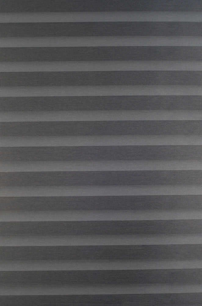 Roletai diena-naktis BH-43 65cm x 160cm
