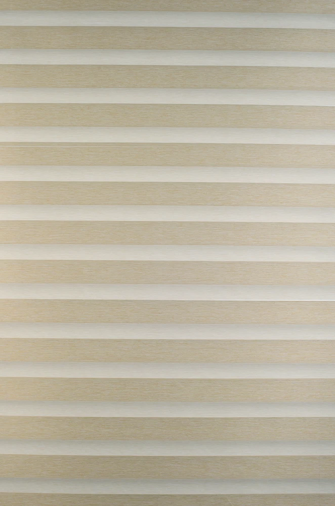 Roletai diena-naktis BH-903 65cm x 160cm