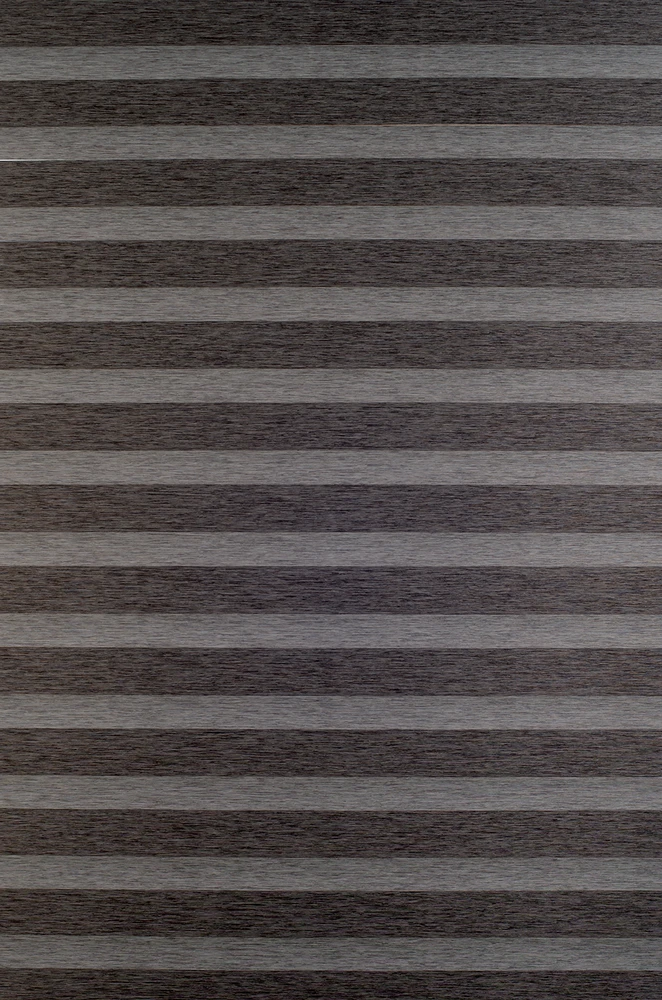 Roletai diena-naktis BH-906 40cm x 160cm