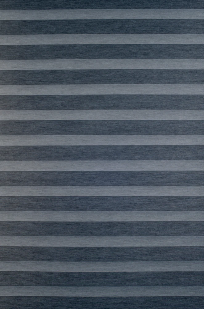 Roletai diena-naktis BH-908 65cm x 160cm