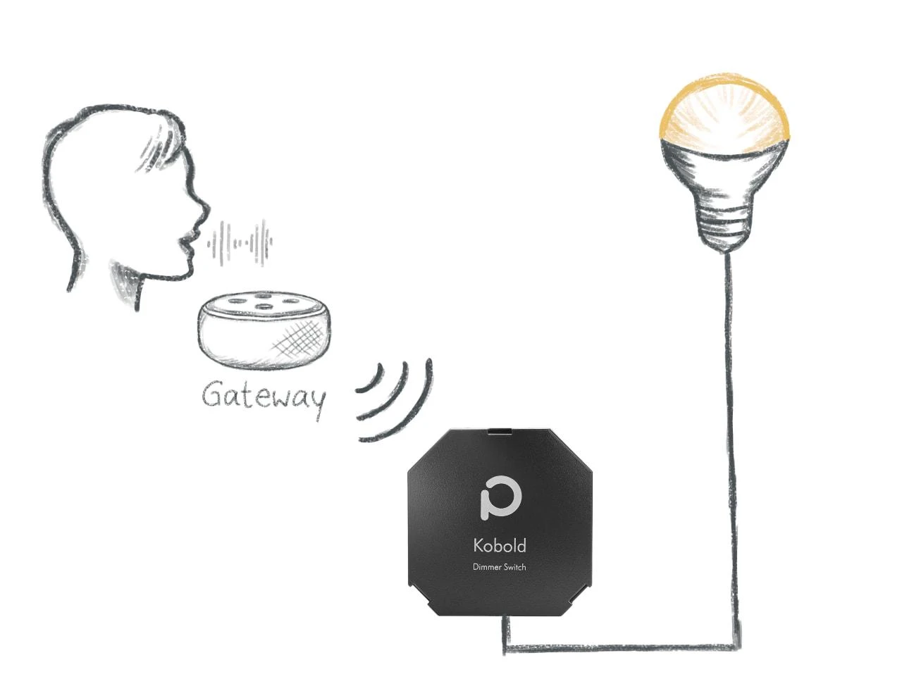 Dresden Elektronik Phoscon Kobold Zigbee 3.0 išmanusis valdomas dimeris