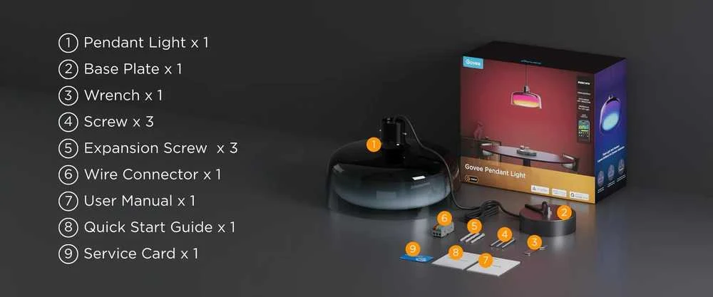 Govee Pendant light RGBICWW išmanusis pakabinamas šviestuvas, Matter (H60C1)