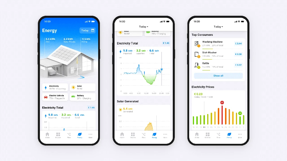 Homey Energy Dongle adapteris skirtas P1 suderinamiems energijos skaitikliams
