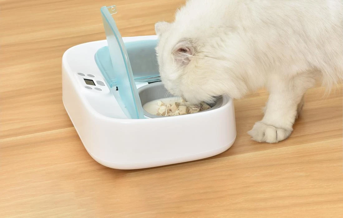 Petoneer Two-Meal Feeder išmanusis dubuo su vėsinimu