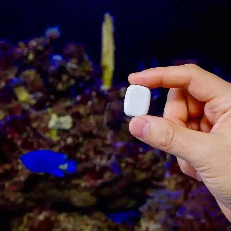 „Shelly The Pill“ universalus „WiFi“ / „Bluetooth“ jutiklis