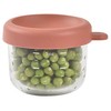 BEABA STIKLINIS INDELIS SU DANGTELIU, TERRACOTTA, 150 ML
