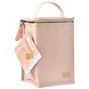 BEABA TERMODĖKLAS, DUSTY ROSE