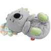 FISHER PRICE MIGDUKAS KOALA, HBP87