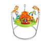 FISHER PRICE RAINFOREST ROARING ŠOKLIUKAS