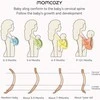 Momcozy Kūdikių nešioklė, tamsiai pilka