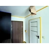 Stalco Perfect Dažymo juosta WASHI preciziškam darbui 38mm x 50m